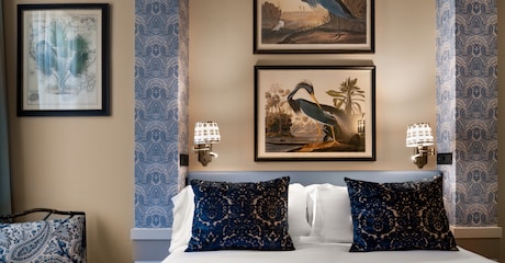 Room Premium Room
